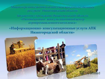 Полное название организации Бюджетное учреждение Нижегородской области Инновационно-консультационный центр агропромышленного комплекса Организационно-