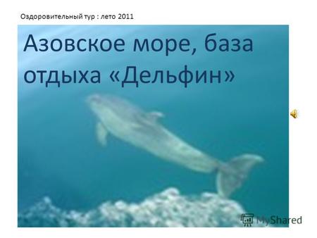 Азовское море, база отдыха «Дельфин» Оздоровительный тур : лето 2011.