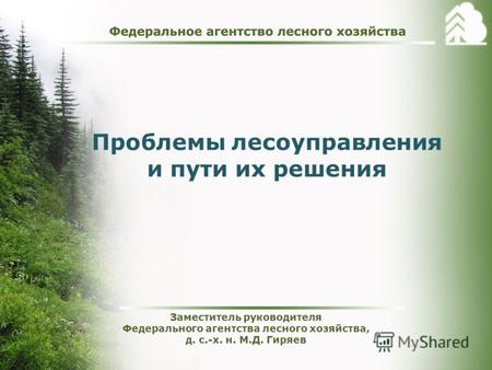 Проблемы лесоуправления и пути их решения Заместитель руководителя Федерального агентства лесного хозяйства, д. с.-х. н. М.Д. Гиряев.