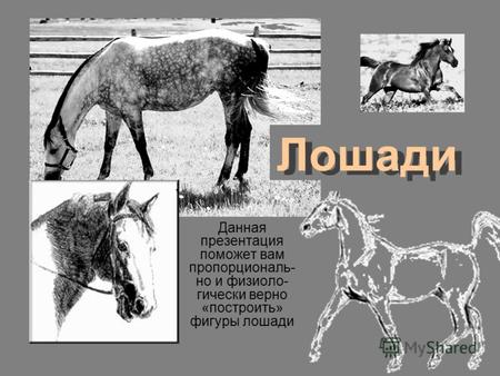 Лошади Данная презентация поможет вам пропорциональ- но и физиоло- гически верно «построить» фигуры лошади.