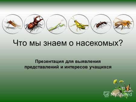 Что мы знаем о насекомых? Презентация для выявления представлений и интересов учащихся.