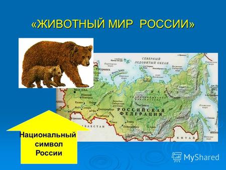 «ЖИВОТНЫЙ МИР РОССИИ» Национальный символ России.
