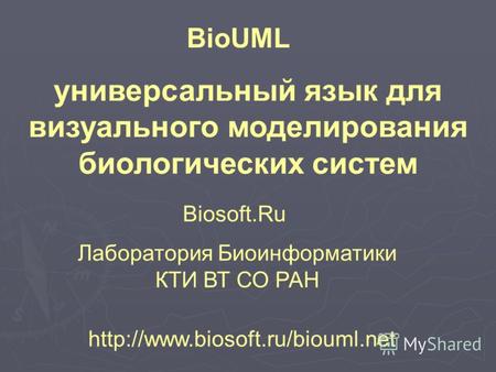 BioUML универсальный язык для визуального моделирования биологических систем Biosoft.Ru Лаборатория Биоинформатики КТИ.