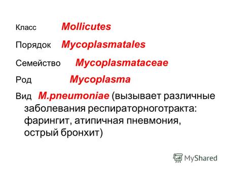 Класс Mollicutes Порядок Mycoplasmatales Семейство Mycoplasmataceae Род Mycoplasma Вид M.pneumoniae (вызывает различные заболевания респираторноготракта: