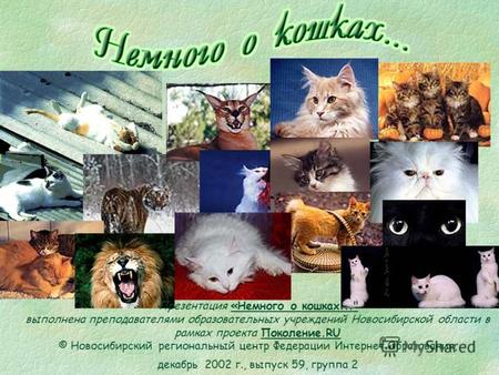 Презентация «Немного о кошках... выполнена преподавателями образовательных учреждений Новосибирской области в рамках проекта Поколение.RU © Новосибирский.