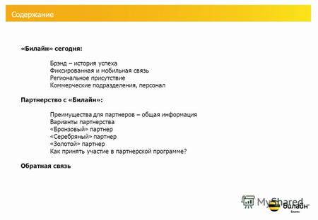 Партнерская программа «Билайн» - бизнес ОАО «ВымпелКом», 2008 г.
