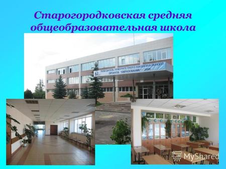 Старогородковская средняя общеобразовательная школа.