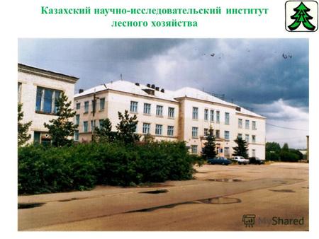 Казахский научно-исследовательский институт лесного хозяйства.