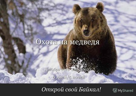 Открой свой Байкал! 6 дней/5 ночей Декабрь 2011- март 2012 г. Охота на медведя.
