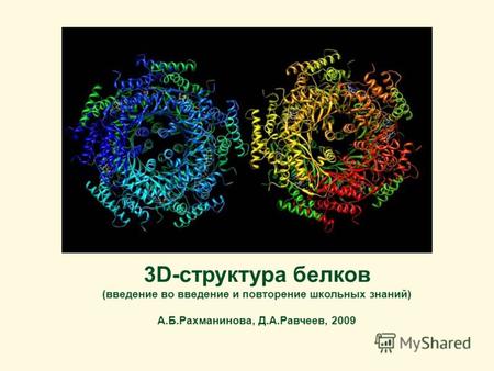 3D-структура белков (введение во введение и повторение школьных знаний) А.Б.Рахманинова, Д.А.Равчеев, 2009.
