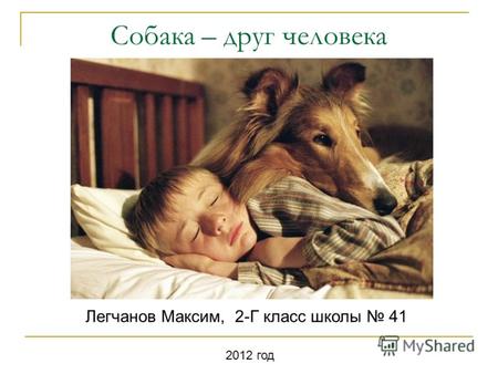 Собака – друг человека Легчанов Максим, 2-Г класс школы 41 2012 год.