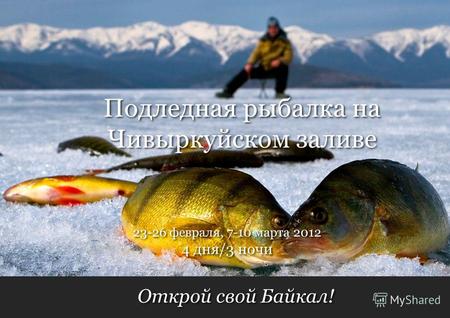 Открой свой Байкал! 4 дня/3 ночи 23-26 февраля, 7-10 марта 2012 Подледная рыбалка на Чивыркуйском заливе.