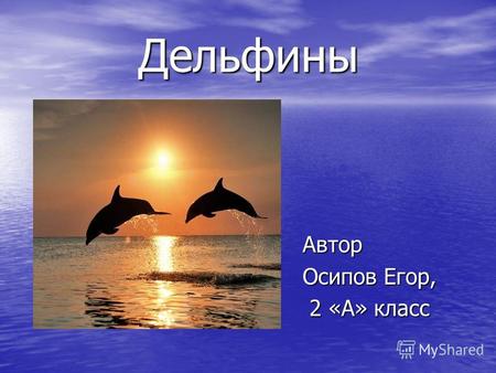 Дельфины Автор Осипов Егор, 2 «А» класс 2 «А» класс.