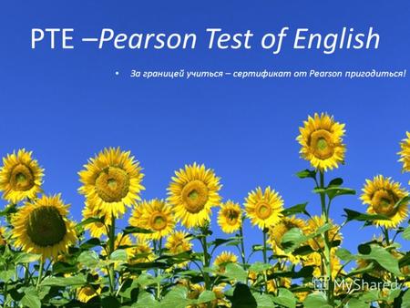 PTE –Pearson Test of English За границей учиться – сертификат от Pearson пригодиться!
