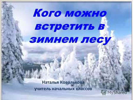 Кого можно встретить в зимнем лесу Наталья Ковалькова учитель начальных классов.