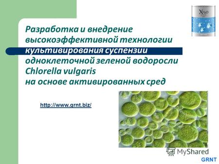 Разработка и внедрение высокоэффективной технологии культивирования суспензии одноклеточной зеленой водоросли Chlorella vulgaris на основе активированных.