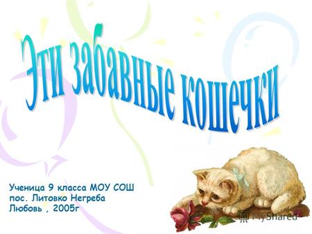 Ученица 9 класса МОУ СОШ пос. Литовко Негреба Любовь, 2005г.