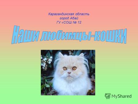 Карагандинская область город Абай ГУ «СОШ 12. Почему я выбрал эту тему? Я очень люблю кошек! Хотел узнать историю появления кошек. Как кошки влияют на.