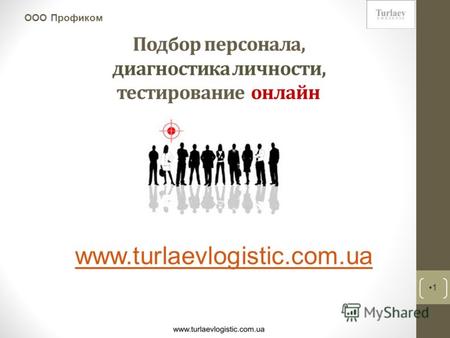 Подбор персонала, диагностика личности, тестирование онлайн 1 ООО Профиком www.turlaevlogistic.com.ua.