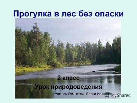 Прогулка в лес без опаски 2 класс Урок природоведения Учитель Лямытских Елена Ивановна.