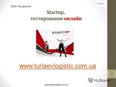 Startup, тестирование онлайн 1 ООО Профиком www.turlaevlogistic.com.ua.