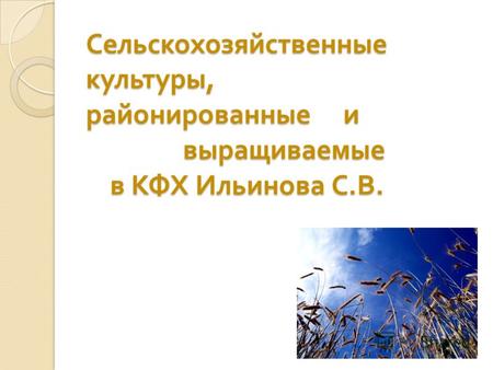 Сельскохозяйственные культуры, районированные и выращиваемые в КФХ Ильинова С. В.