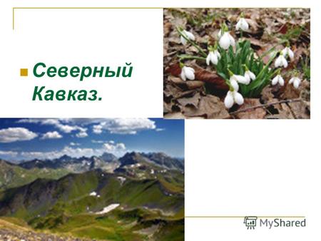 Северный Кавказ. Географическое положение. Се́верный Кавка́з географическая область, включающая Предкавказье, северную часть склона Большого Кавказского.