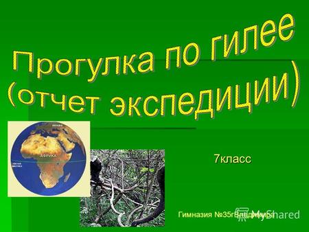 7класс Гимназия 35гВладимира. Гилея – «зеленый рай или ад»?