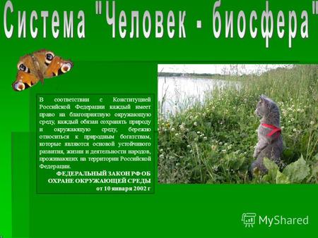В соответствии с Конституцией Российской Федерации каждый имеет право на благоприятную окружающую среду, каждый обязан сохранять природу и окружающую.