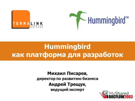 Hummingbird как платформа для разработок Михаил Писарев, директор по развитию бизнеса Андрей Трещук, ведущий эксперт.