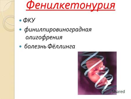 Фенилкетонурия ФКУ финилпировиноградная олигофрения болезнь Фёллинга.