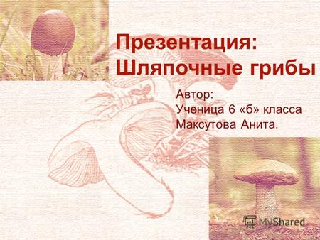 Презентация: Шляпочные грибы Автор: Ученица 6 «б» класса Максутова Анита.