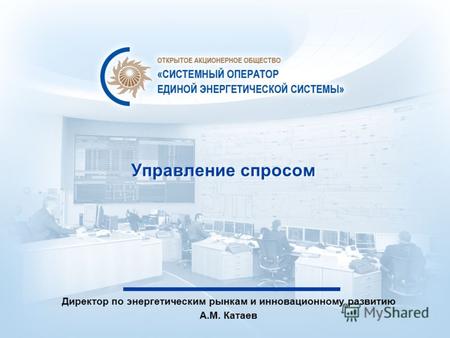 Управление спросом Директор по энергетическим рынкам и инновационному развитию А.М. Катаев.