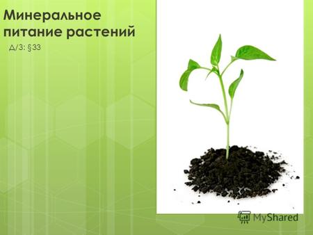 Минеральное питание растений Д/З: §33. Наиболее важны для растений: азот (N), калий (К), фосфор (P) Недостаток N Недостаток КНедостаток Р.