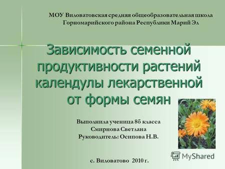 Зависимость семенной продуктивности растений календулы лекарственной от формы семян МОУ Виловатовская средняя общеобразовательная школа Горномарийского.