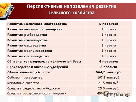 0 Во исполнение постановления Правительства Республики Башкортостан от 25 ноября 2011 года 430 «Об организационной структуре управления Среднесрочной комплексной.