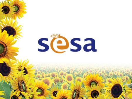 ООО Компания СЕСА Компания создана в 1996 году и сегодня является одним из лидирующих игроков рынка безалкогольных напитков и минеральных вод. Сегодня.