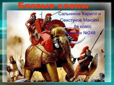 Боевые слоны Сальников Кирилл и Свистунов Максим 8в класс Гимназии 248.
