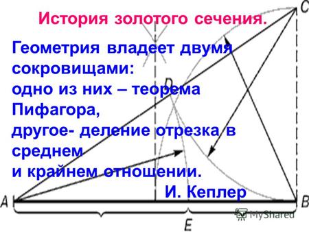 Геометрия владеет двумя сокровищами: одно из них – теорема Пифагора, другое- деление отрезка в среднем и крайнем отношении. И. Кеплер История золотого.