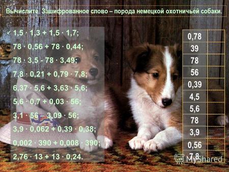 Вычислите. Зашифрованное слово – порода немецкой охотничьей собаки. 1,5 · 1,3 + 1,5 · 1,7; 78 · 0,56 + 78 · 0,44; 78 · 3,5 - 78 · 3,49; 7,8 · 0,21 + 0,79.