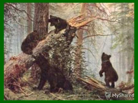 БУРЫЙ МЕДВЕДЬ Prezentacii.com Бурый медведь (Ursus arctos), Бурый медведь (Ursus arctos), хищное млекопитающее семейства медведей (Ursidae). Распространён.