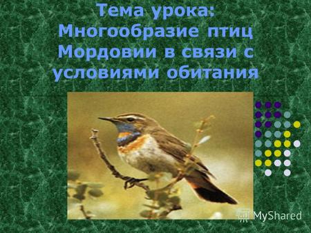 Тема урока: Многообразие птиц Мордовии в связи с условиями обитания.