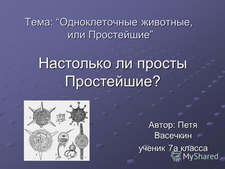 Тема: Одноклеточные животные, или Простейшие Автор: Петя Васечкин ученик 7а класса Настолько ли просты Простейшие?