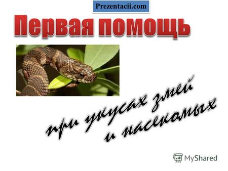 Prezentacii.com. Среднеазиатская кобра Крупная змея длиной до 1,6 м. Распространена в южных областях Средней Азии: юго-запад Таджикистана, юг Узбекистана.
