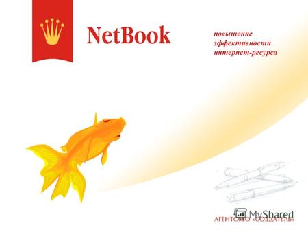 Повышение эффективности интернет-ресурса. Netbook является премиальной услугой Агентства «Создатель», специально разработанной для значительного повышения.