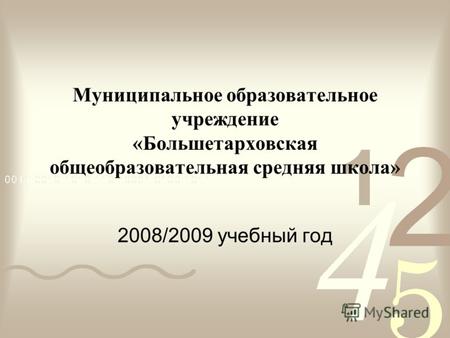 Муниципальное образовательное учреждение «Большетарховская общеобразовательная средняя школа» 2008/2009 учебный год.