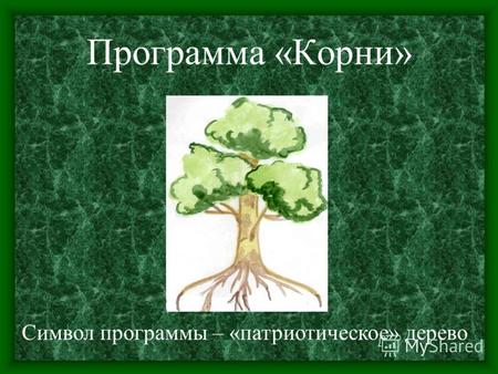Программа «Корни» Символ программы – «патриотическое» дерево.