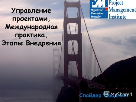 Управление проектами, Международная практика, Этапы Внедрения Спайдер Проджект.