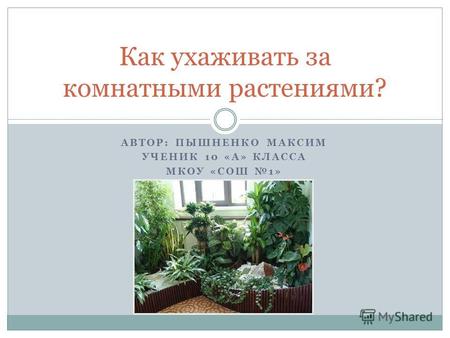 АВТОР: ПЫШНЕНКО МАКСИМ УЧЕНИК 10 «А» КЛАССА МКОУ «СОШ 1» Как ухаживать за комнатными растениями?