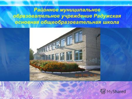Районное муниципальное образовательное учреждение Радужская основная общеобразовательная школа.
